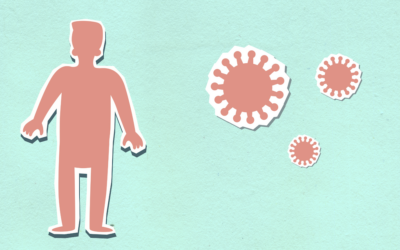 The Inflammation Link: How Obesity Quietly Fuels Heart Disease